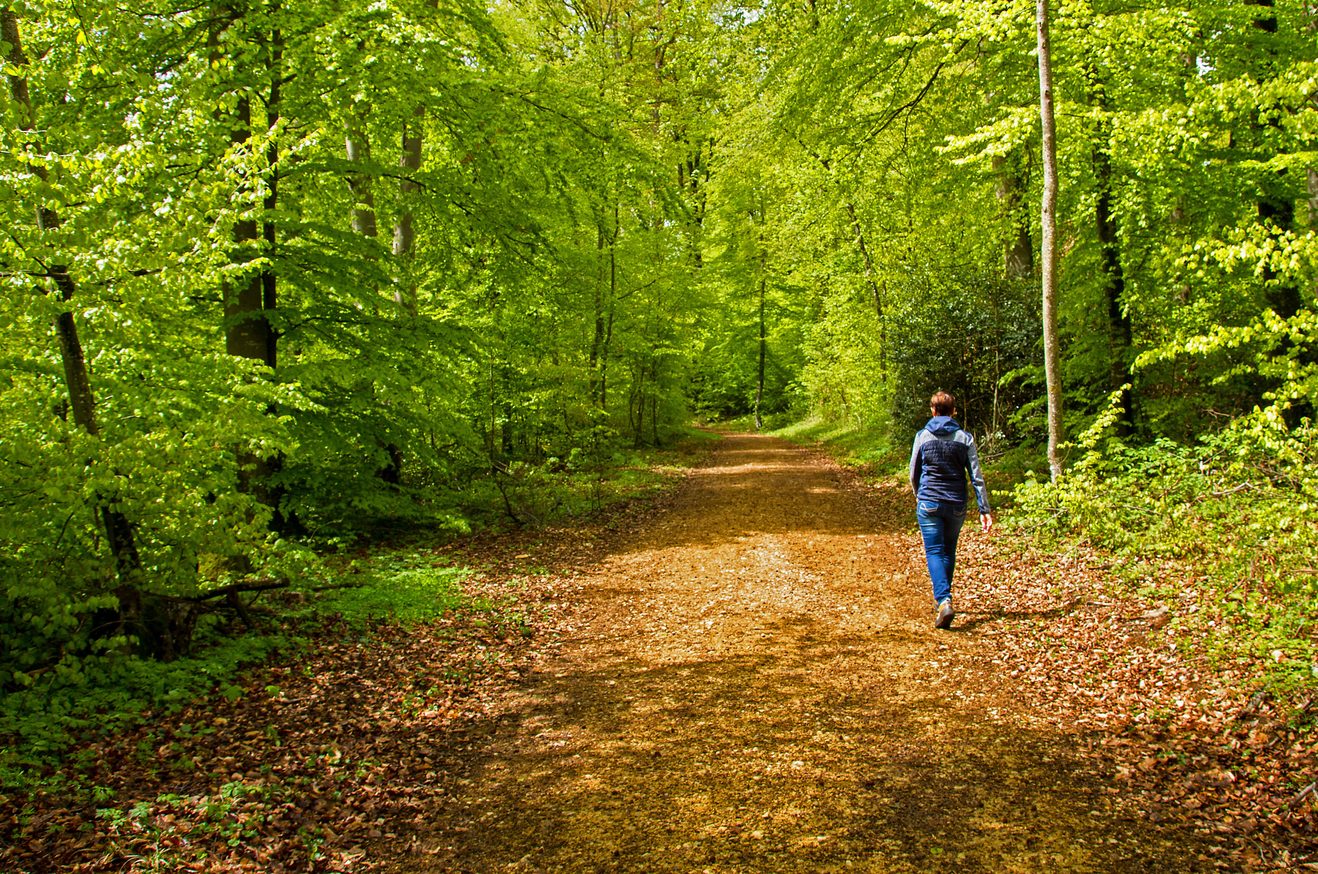 Waldspaziergang